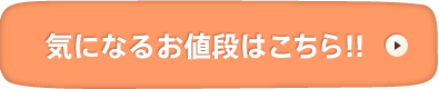 気になるお値段はこちら!!