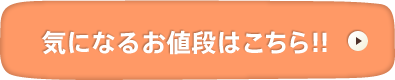 気になるお値段はこちら!!